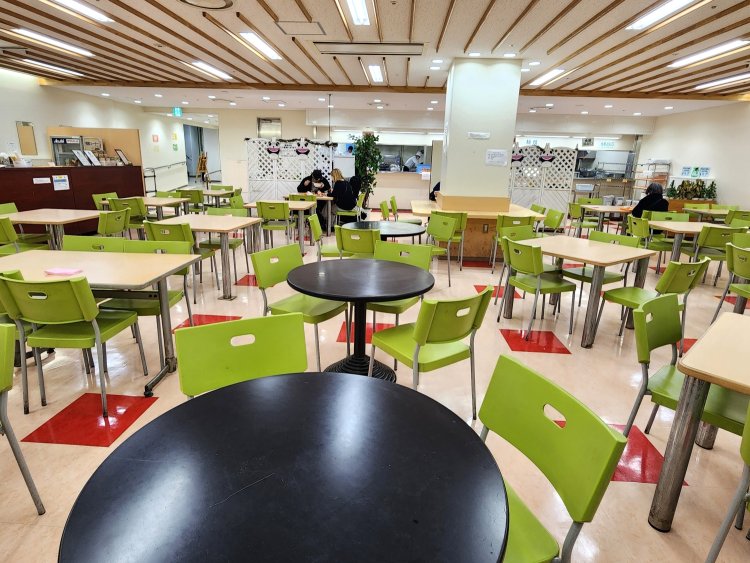 椅子のグリーンと床タイルの赤。色のバランスがおしゃれ。