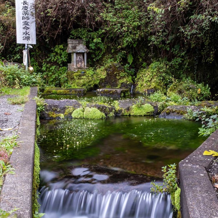 長慶寺境内からすぐの湧水池。夏には梅花藻の白い花が彩る。