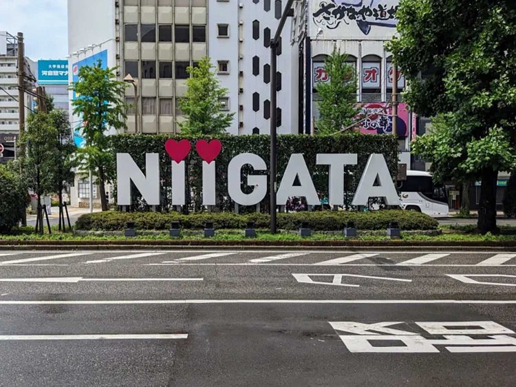 【酒場ナビ】十字路_1