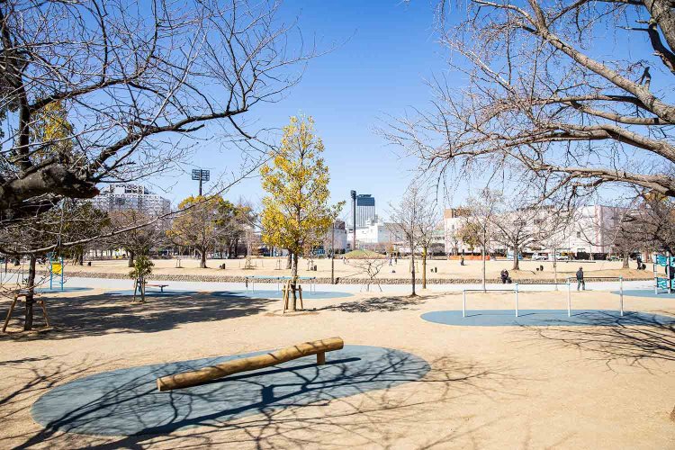 2024年、歩道橋「川崎ハローブリッジ」は芝生緑化し、富士見公園は開放的にリニューアル。