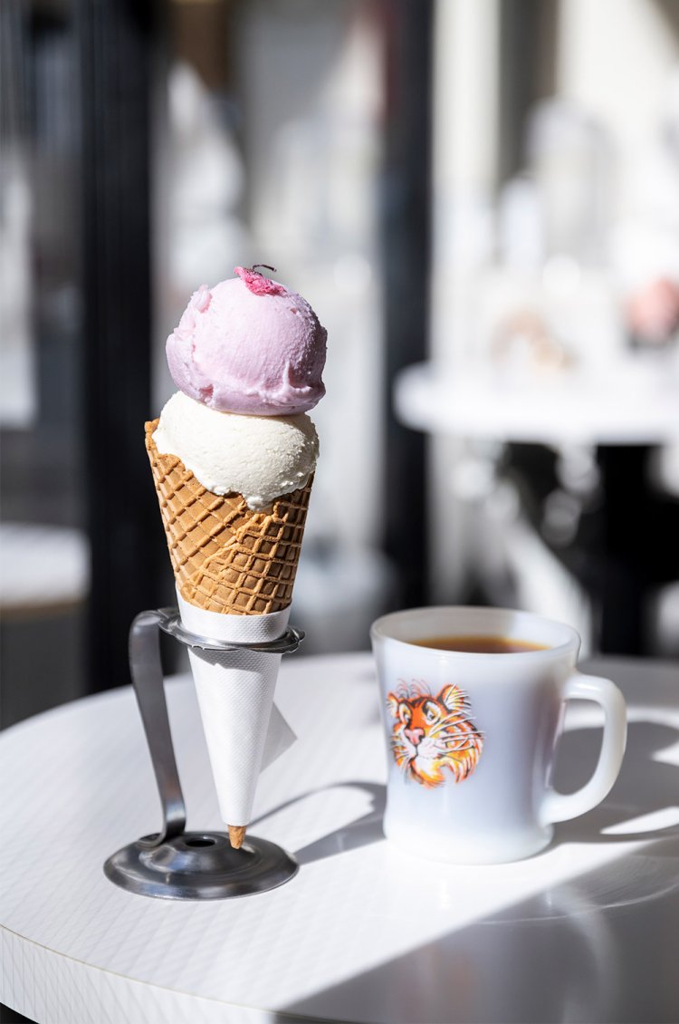 【散歩の達人】武蔵小杉・新丸子