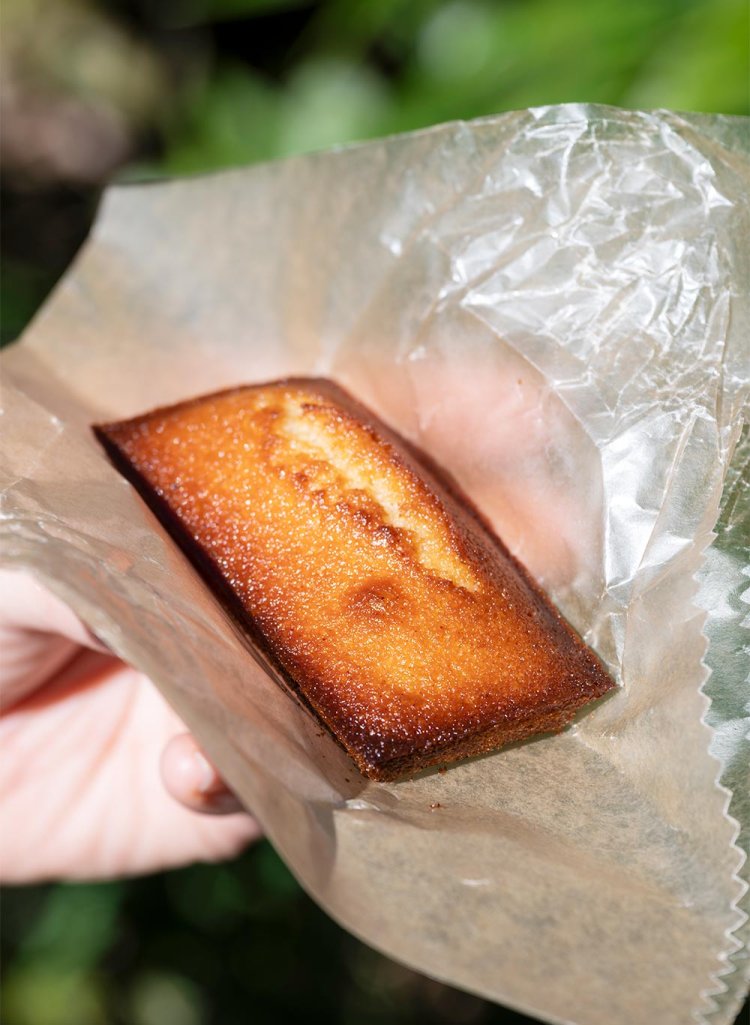 【散歩の達人】武蔵小杉・新丸子