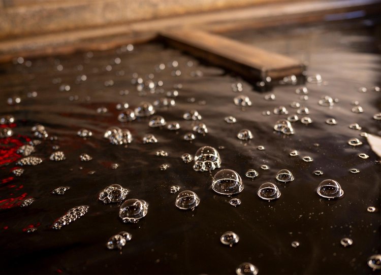 【散歩の達人】南武線アップデート