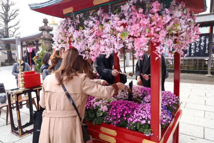 華やかな花御堂で誕生仏に甘茶をそそぎかける参拝者。
