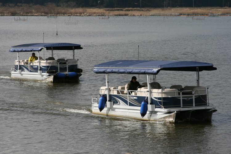 印旛沼の観光船は4月5・6・12・13・19・20日に実施（約40分、大人1000円）。