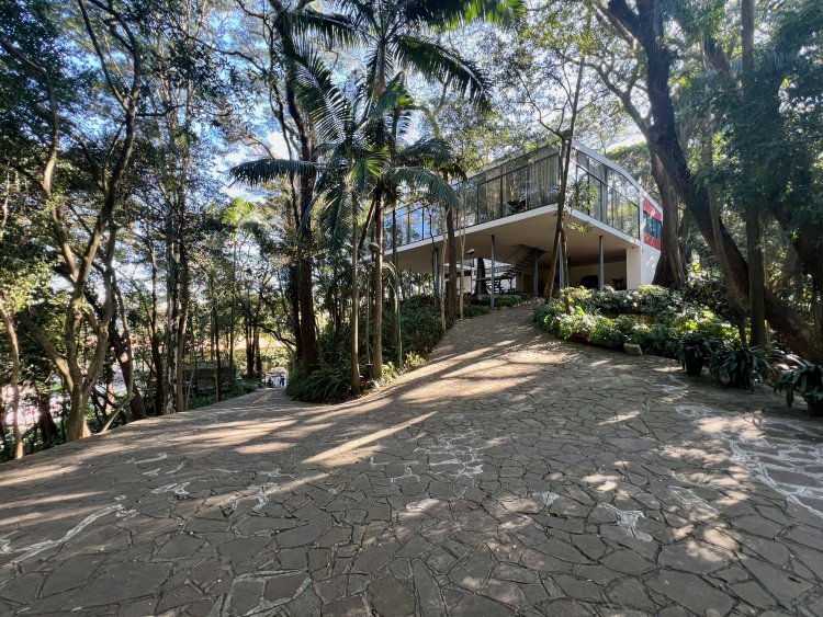 リナ・ボ・バルディ ガラスの家 1951年。