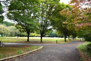 西東京いこいの森公園