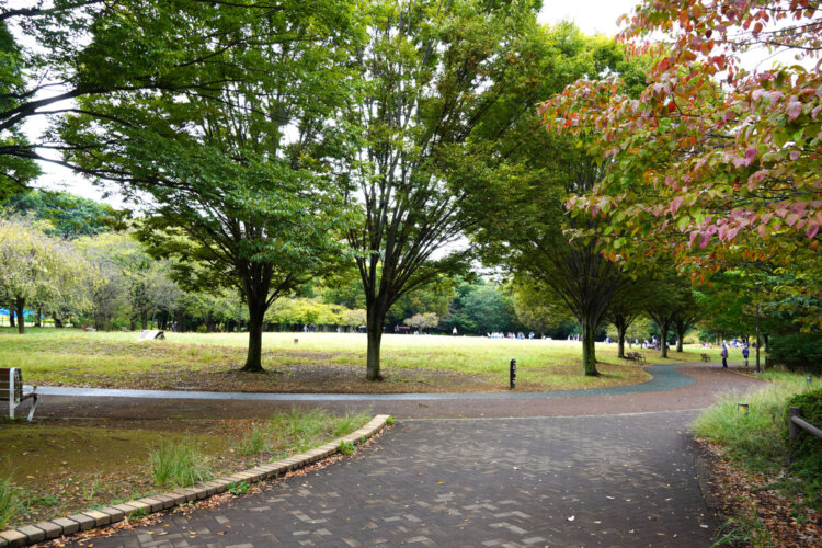 西東京いこいの森公園