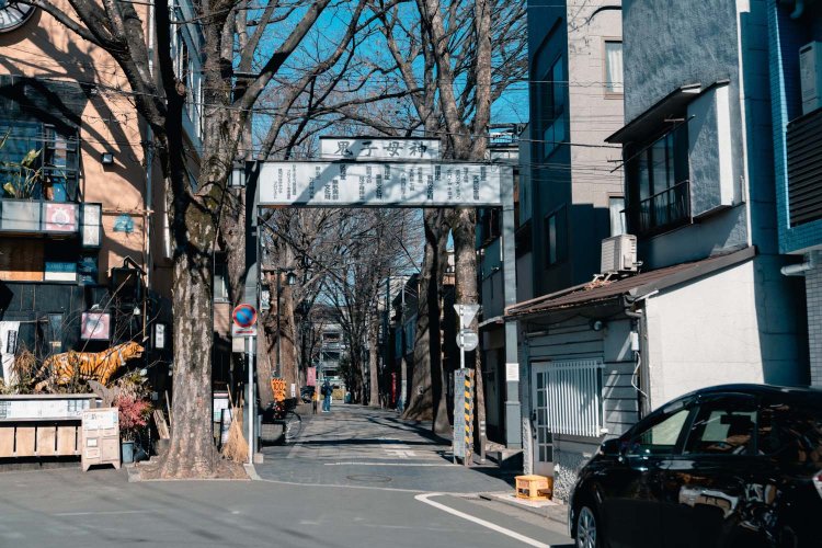 鬼子母神堂に向かう参道のケヤキ並木。古いものだと樹齢400年になるそう。