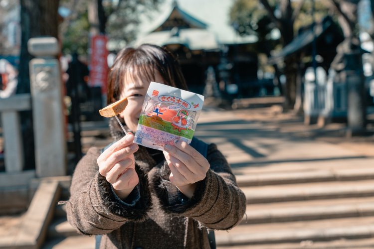 安産・子育ての神として信仰されている鬼子母神堂。境内には何と江戸時代から続いている駄菓子屋さんがあって楽しい。