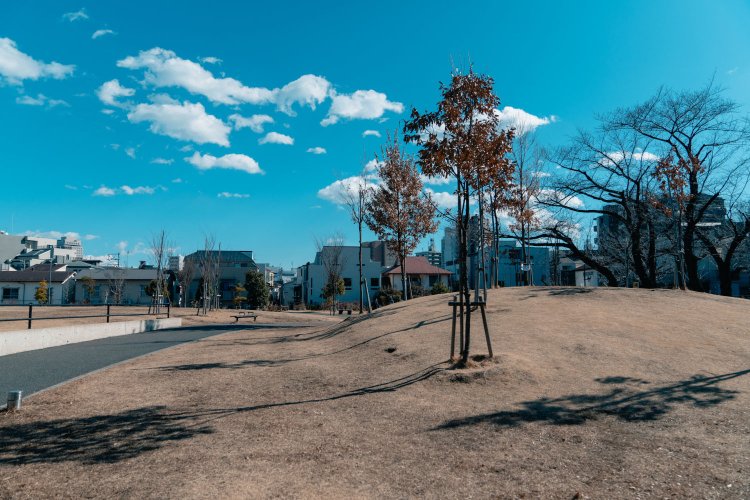 芝生が広がり寝転がりたくなる公園。テニスやフットサルができるコートも。