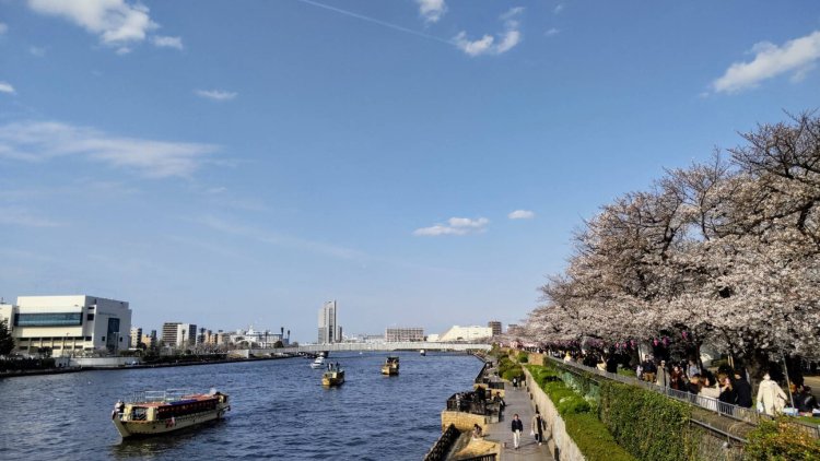 急速な天気の回復も不調を招くことが……。
