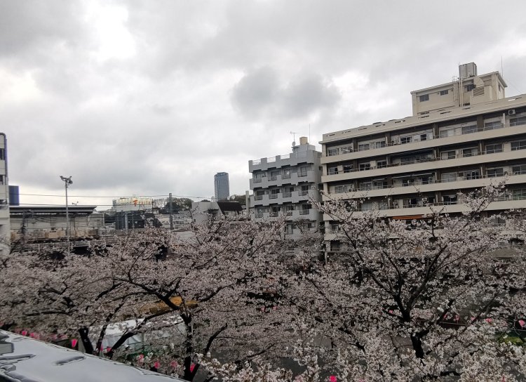 雨が降り出すのが頭痛で分かるという人も。