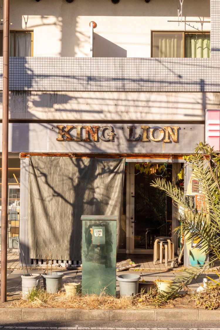 店先にはカレーリーフの木。