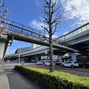 【東京街角クイズ】この写真、どこの歩道橋でしょう？