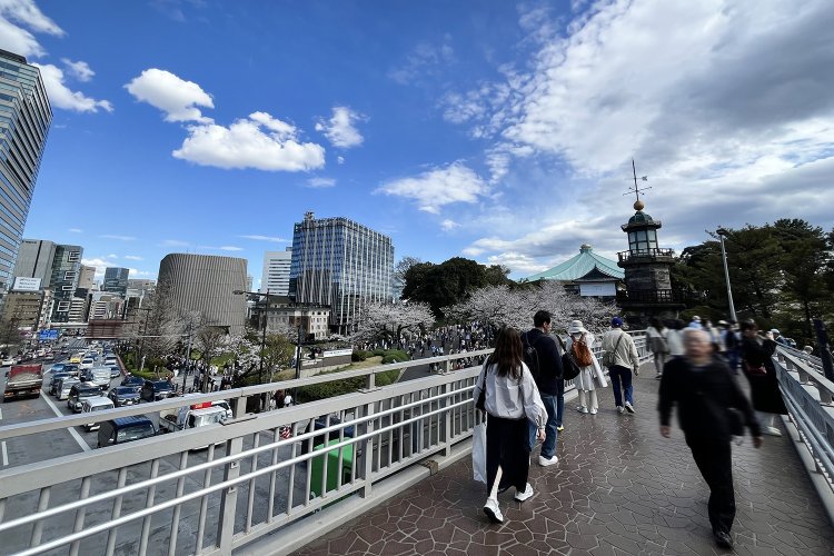 歩道橋の上で田安門方面を眺める。左は靖国通りの東方面。