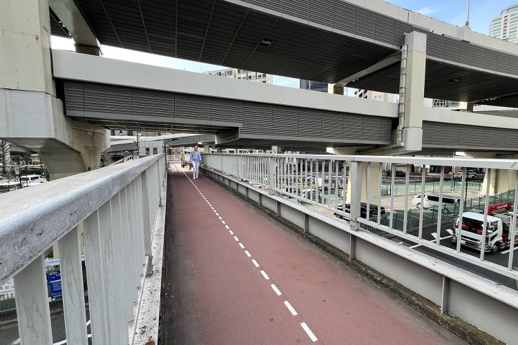 センターラインが描かれているのも特徴的。