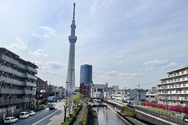 押上方面を望む。