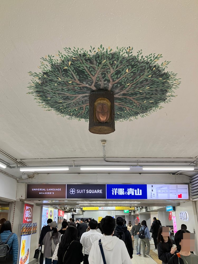 通りかかっただけでは見過ごしてしまうが、チェリーロードで上を向いて歩くと、確かに木に止まったフクロウがいる。