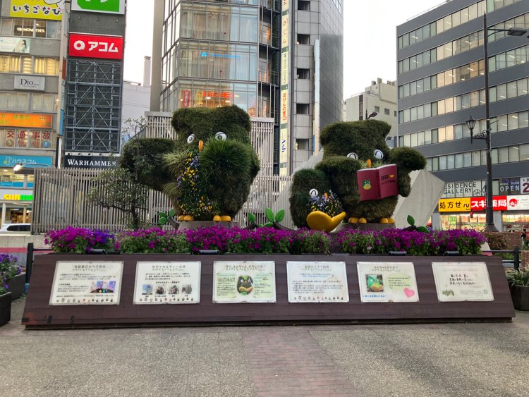 よく手入れされているモザイカルチャーのえんちゃんファミリー。植物でできているからか、時期により表情が少し異なる面白さがある。