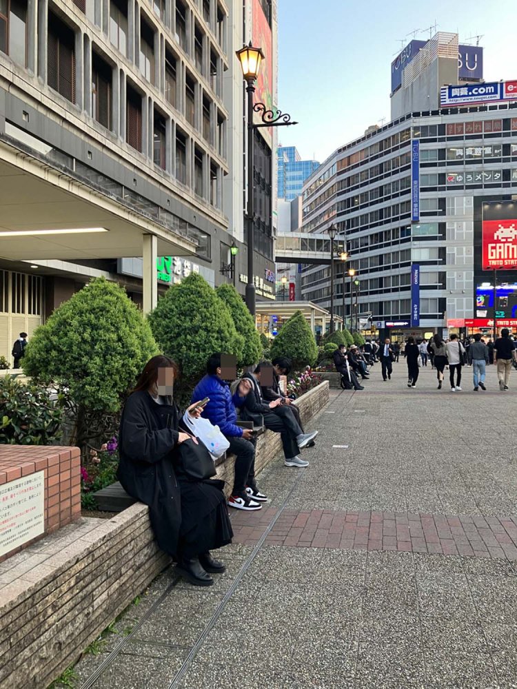 えんちゃんの向かいのベンチ周辺も植物が多くあしらわれており、快適な空間となっている。