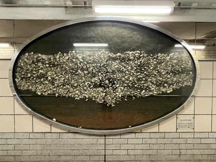 大森貝塚復元模型。