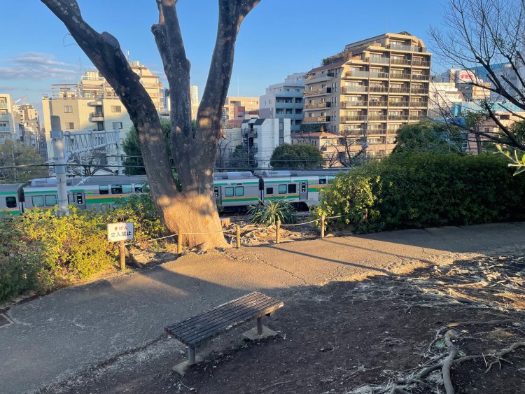 上野東京ラインが走っていた。