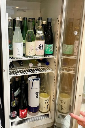 hino_B_10_01_reizoななや
