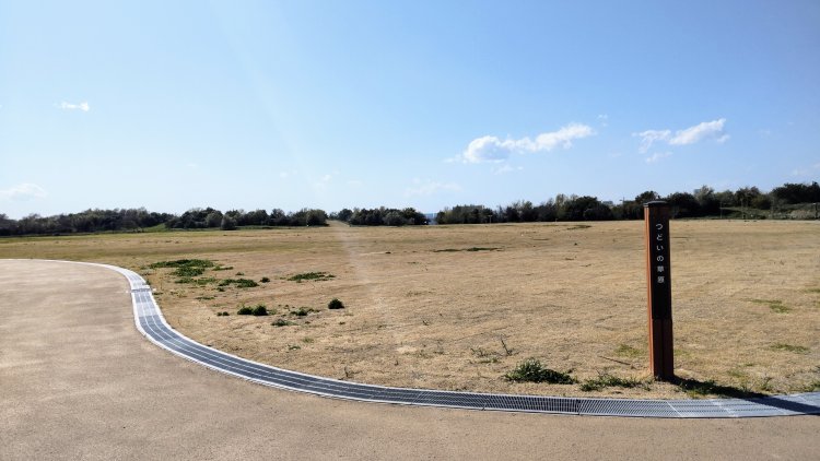 広々とした「つどいの草原」テントを立てて休憩するのも良さそう（※ポップアップテント等、移動がすぐにできる簡易的なテントのみ利用可能）。
