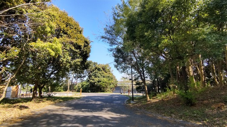 緑豊かな公園の面積は約149ha（うち、陸域約95ha、水域約43ha）に及ぶ。