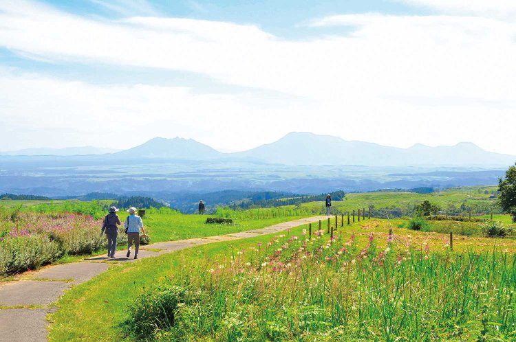 【旅の手帖】奥阿蘇の宿-やまなみ_11