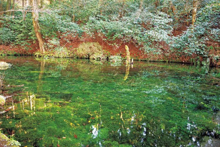 【旅の手帖】奥阿蘇の宿-やまなみ_12