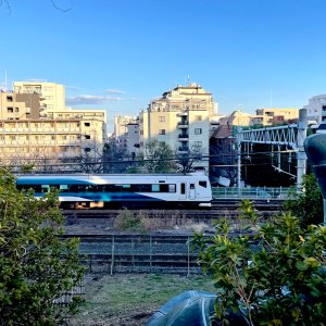 大森海岸から大森貝塚へ。さまざまな時代の海岸線に挟まれた街【「水と歩く」を歩く】