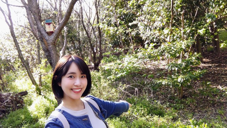 初夏は森林浴散歩に出かけよう！江東区「海の森公園」へ。新生活疲れにもおすすめ