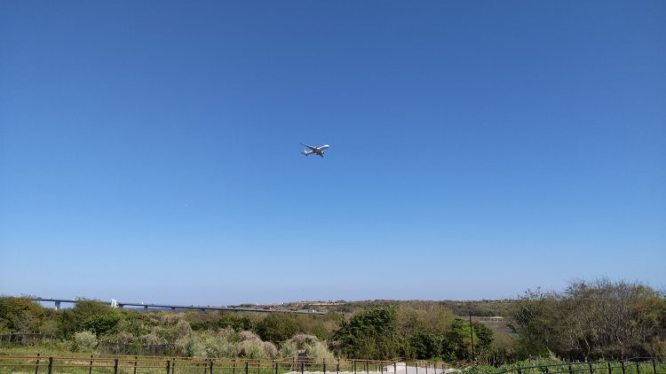 羽田空港が近く、公園からはいろいろな飛行機を間近で見られる。