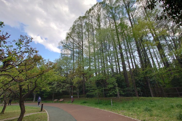 西東京いこいの森公園（にしとうきょういこいのもりこうえん）