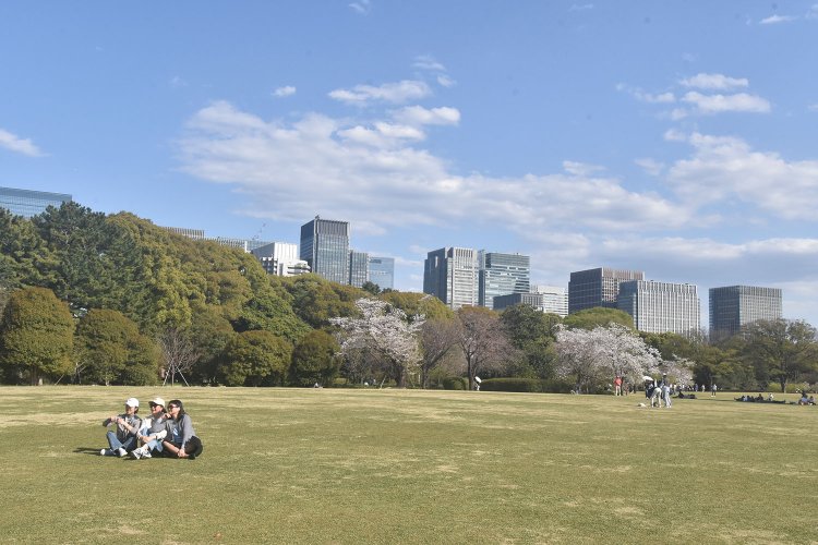 広大な芝生となっている大奥跡。