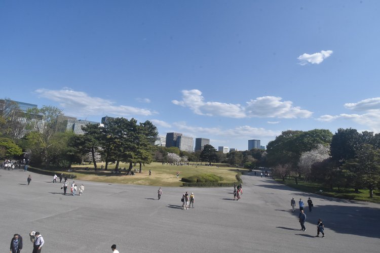 天守台に上れば江戸城本丸跡が一望できる。