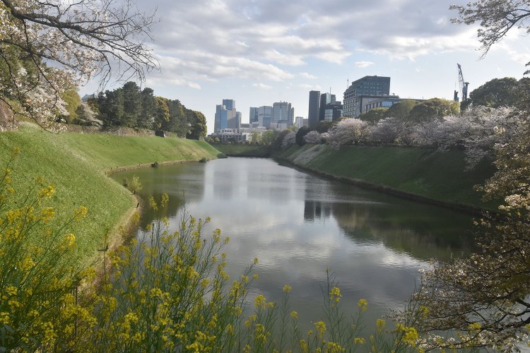 将軍継承問題や幕閣の権力争いが続く伏魔殿・江戸城跡周辺を訪ねる。大河ドラマ『べらぼう』ゆかりの地を歩く【其の四】