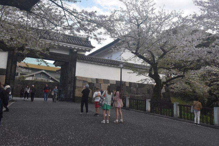 田安門の名の由来は、近くにあった田安大明神（現在は築土〈つくど〉神社）より。
