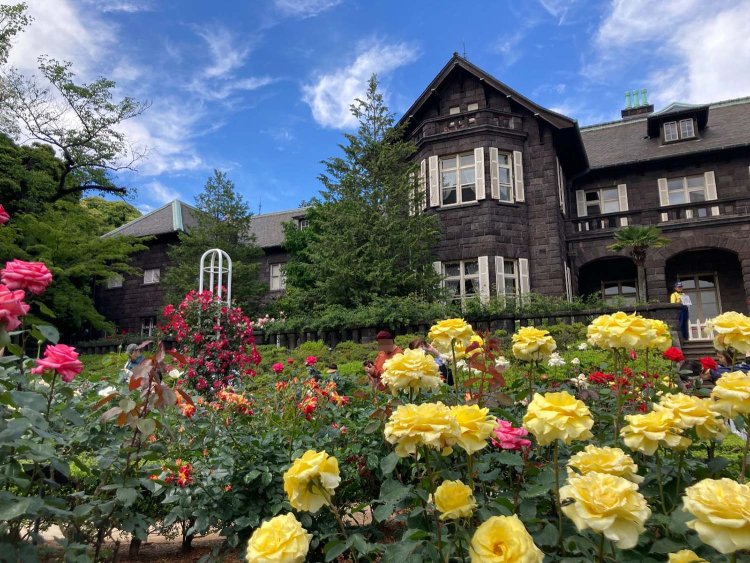 5 旧古河庭園ひとり散歩