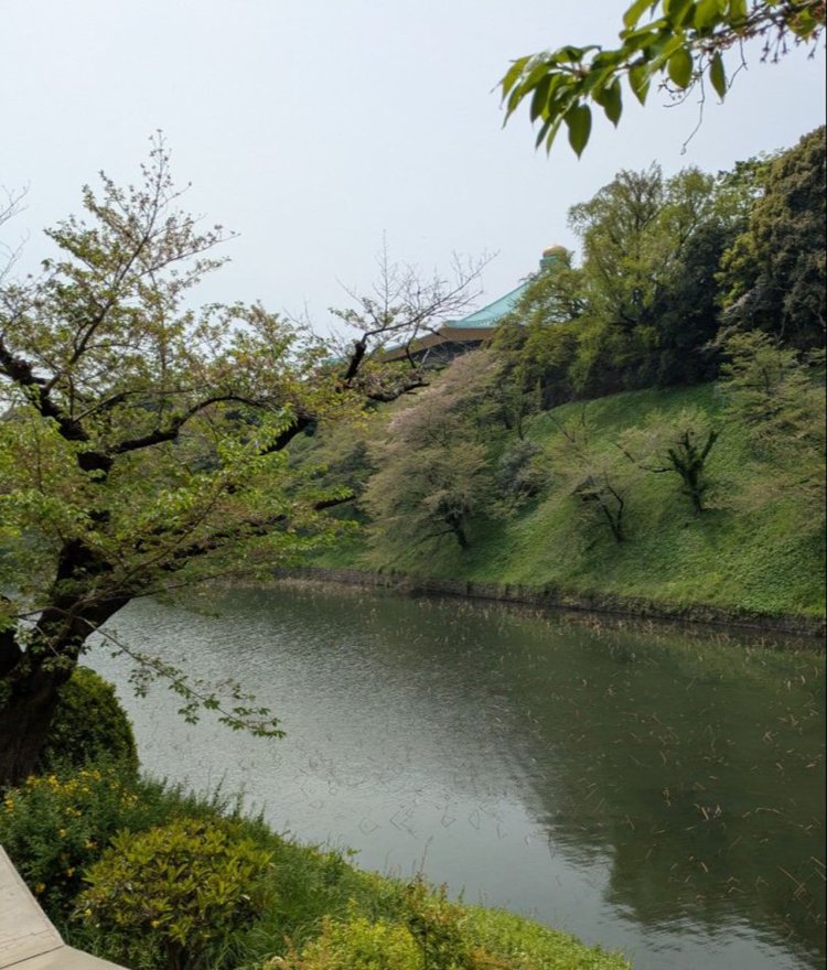 6 武道館ひとり散歩