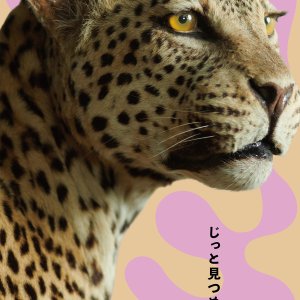 “かはく”とのコラボによる動物がテーマの展覧会「どうぶつ展 わたしたちはだれ？ どこへむかうの？ ～WHO ARE WE?  WHERE ARE WE GOING?」が立川『PLAY! MUSEUM』で開催中