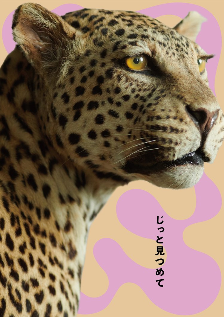 “かはく”とのコラボによる動物がテーマの展覧会「どうぶつ展 わたしたちはだれ？ どこへむかうの？ ～WHO ARE WE?  WHERE ARE WE GOING?」が立川『PLAY! MUSEUM』で開催中