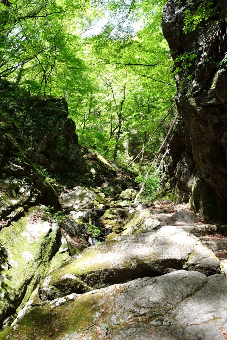 御岳山直下の天狗岩から続くロックガーデン。苔むした岩肌の間を抜けて沢沿いを歩く。