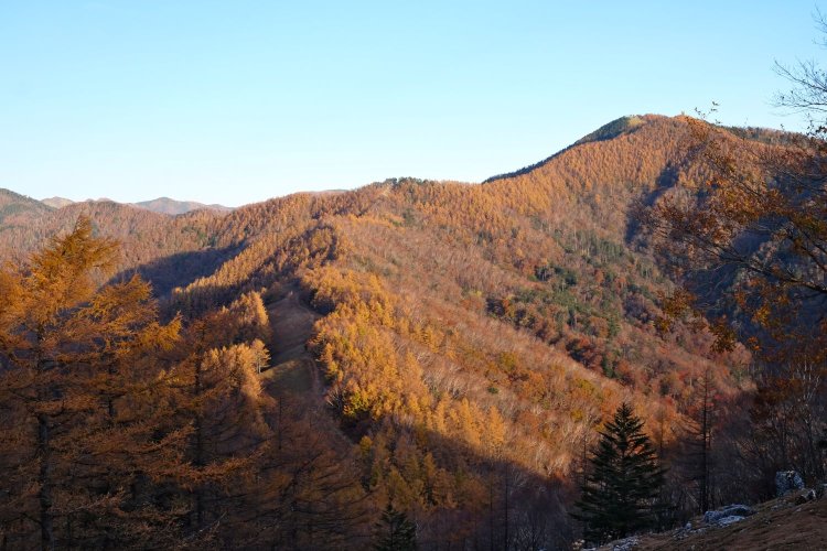七ツ石山山頂から北側の雲取山方面を望む。右上が雲取山山頂。