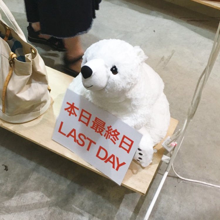 「本日最終日」を伝え、真面目に店番中の白熊。