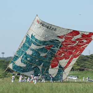 相模川河川敷で巨大な凧が空を舞う！「相模の大凧まつり」が5月4・5日に開催