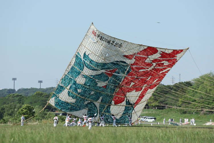 相模川河川敷で巨大な凧が空を舞う！「相模の大凧まつり」が5月4・5日に開催