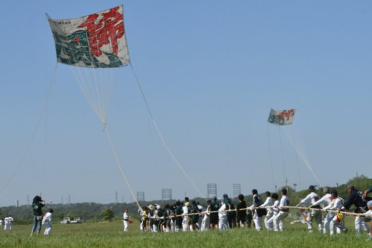 約100人の引き手によって大凧が空に舞い上がる様子は圧巻の一言。